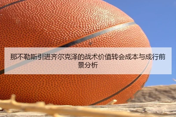 na-bu-le-si-yin-jin-qi-er-ke-ze-de-zhan-shu-jia-zhi-zhuan-hui-cheng-ben-yu-cheng-hang-qian-jing-fen-xi-2-152.jpg
